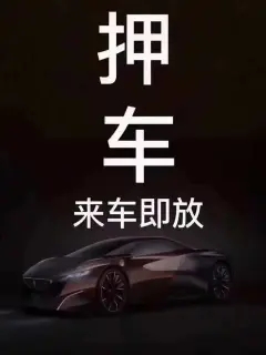 佛山押车贷款电话号码